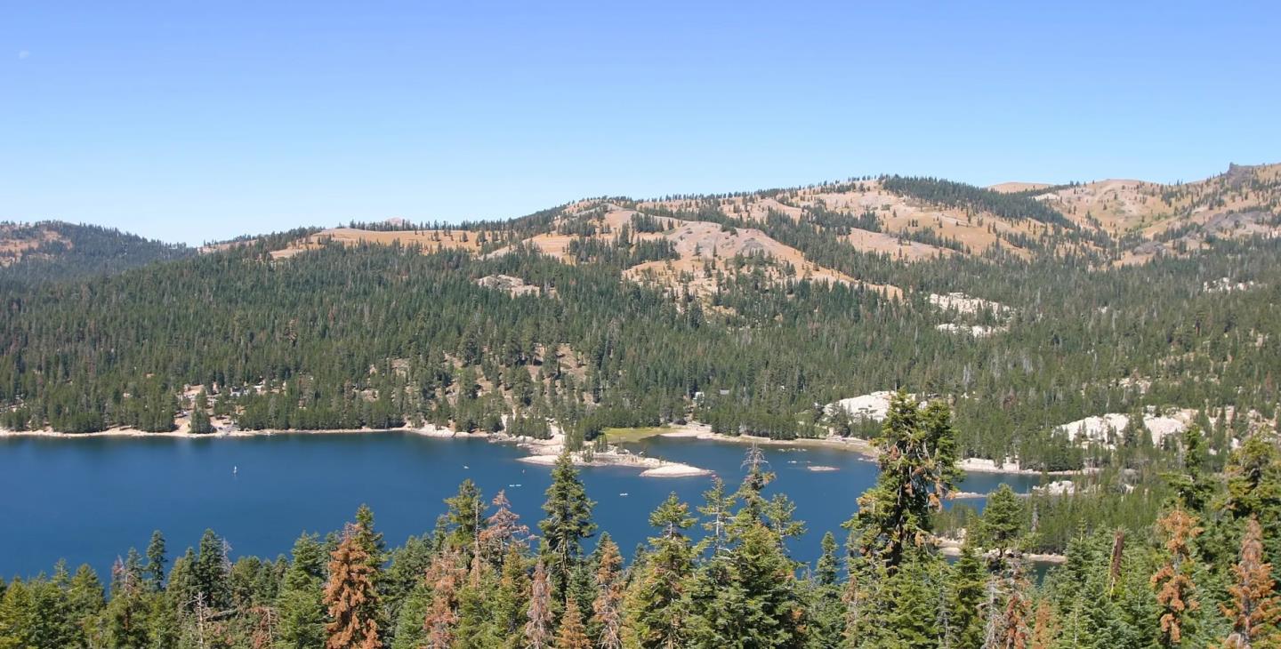 Detail Gallery Image 9 of 9 For 116 John Ebbetts Rd, Bear Valley,  CA 95223 - – Beds | – Baths