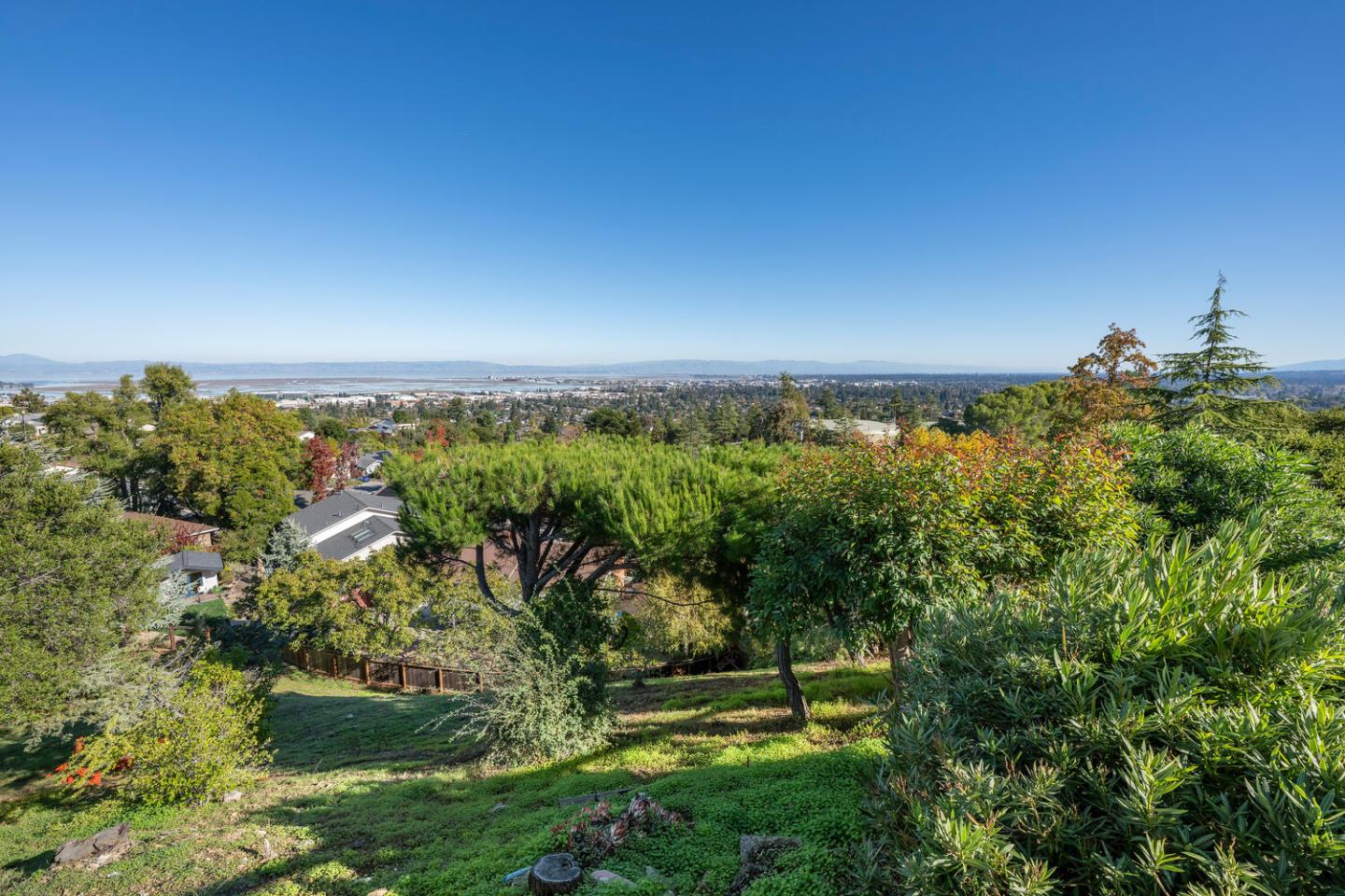 Detail Gallery Image 25 of 36 For 1033 Hewitt Dr, San Carlos,  CA 94070 - 3 Beds | 2 Baths