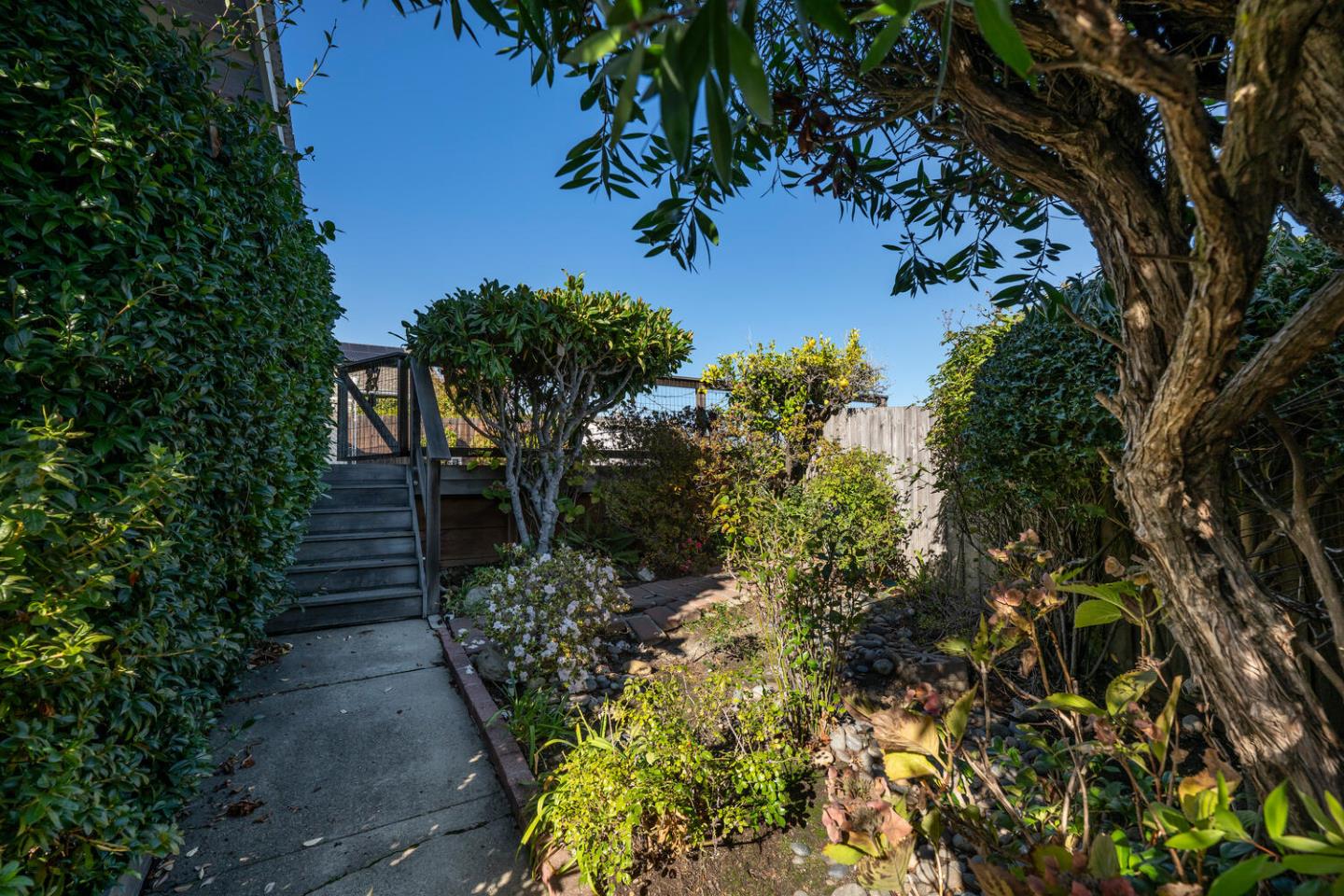 Detail Gallery Image 28 of 36 For 1033 Hewitt Dr, San Carlos,  CA 94070 - 3 Beds | 2 Baths