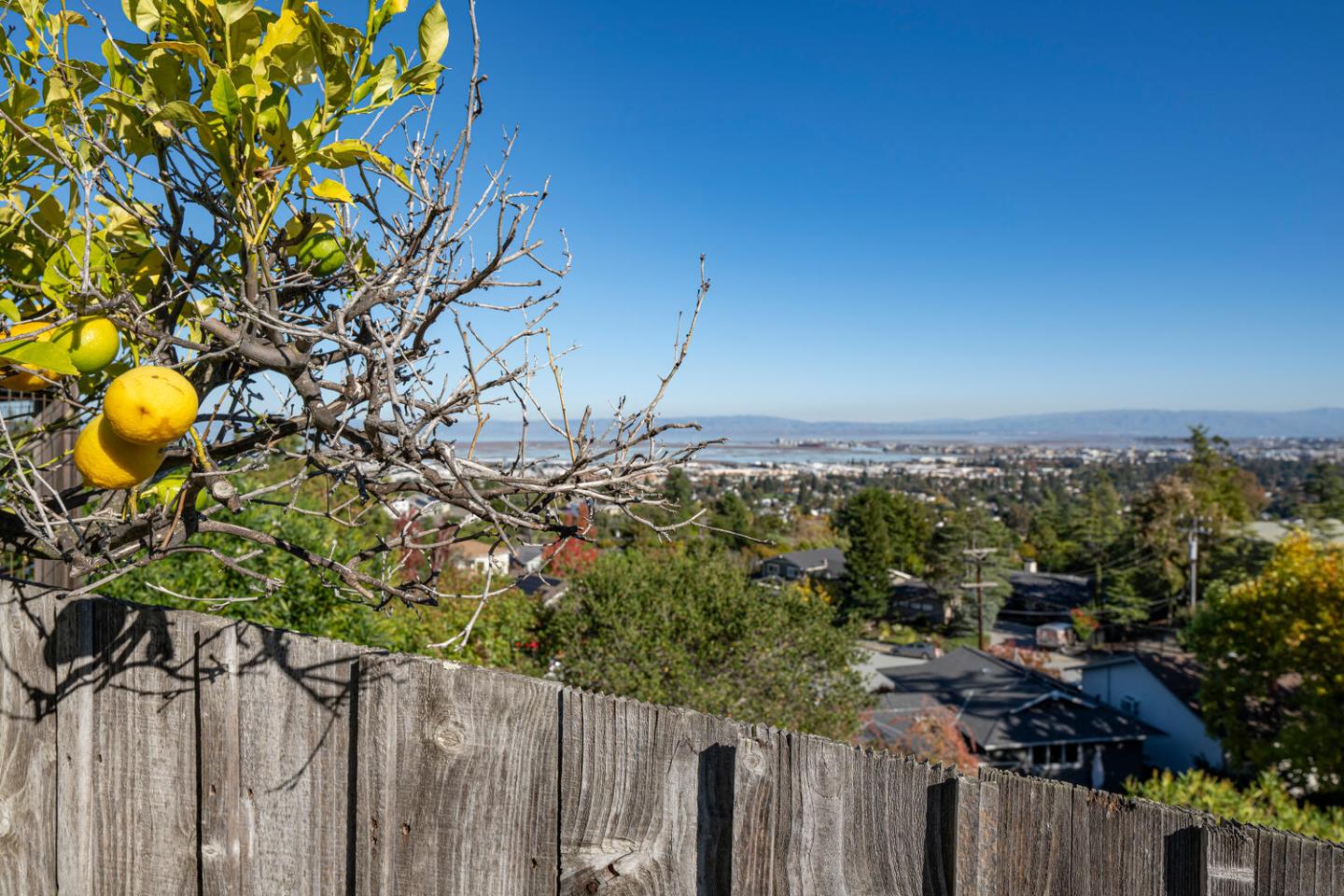 Detail Gallery Image 29 of 36 For 1033 Hewitt Dr, San Carlos,  CA 94070 - 3 Beds | 2 Baths