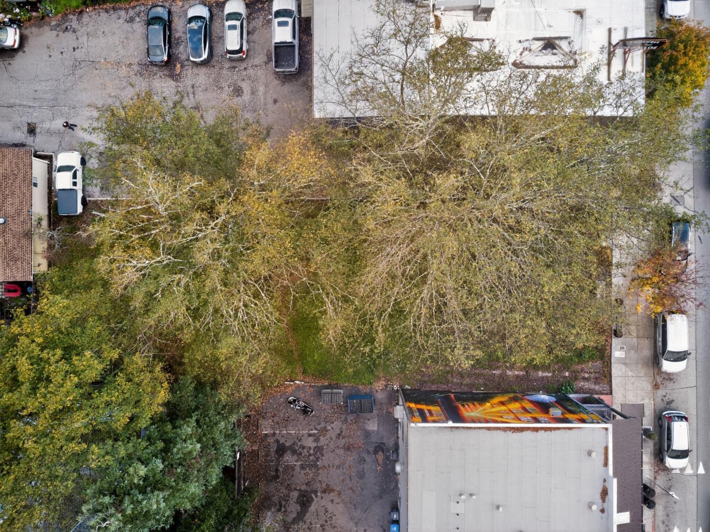 Detail Gallery Image 10 of 15 For 13080 Highway 9, Boulder Creek,  CA 95006 - – Beds | – Baths