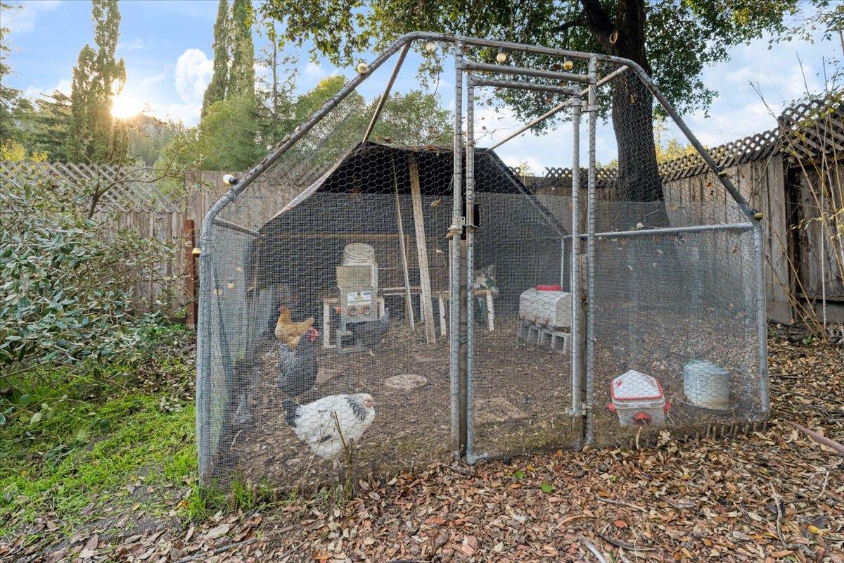 Detail Gallery Image 43 of 50 For 185 Juanita Rd, Boulder Creek,  CA 95006 - 3 Beds | 2 Baths