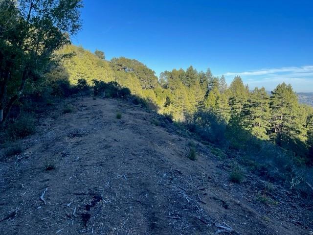 Detail Gallery Image 4 of 9 For 0 Redwood Retreat Rd, Gilroy,  CA 95020 - – Beds | – Baths