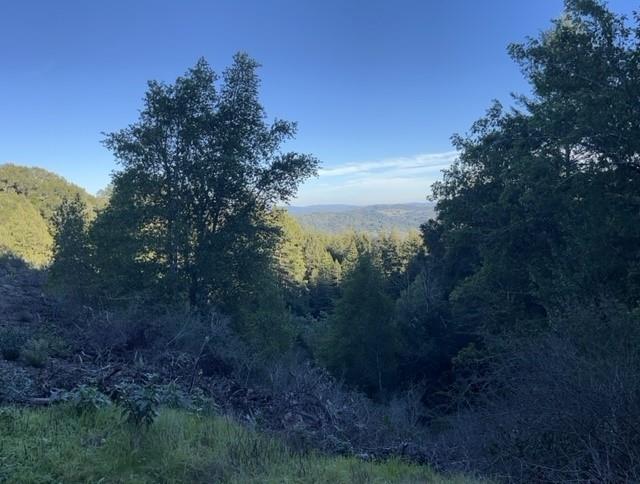 Detail Gallery Image 6 of 9 For 0 Redwood Retreat Rd, Gilroy,  CA 95020 - – Beds | – Baths