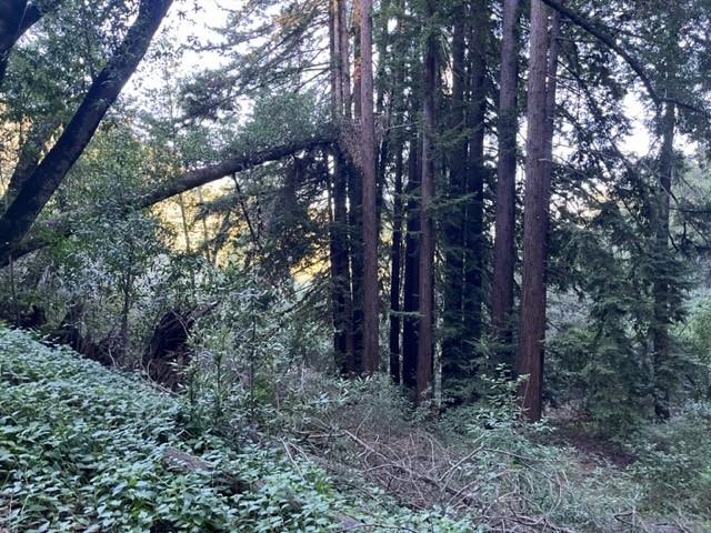 Detail Gallery Image 7 of 9 For 0 Redwood Retreat Rd, Gilroy,  CA 95020 - – Beds | – Baths