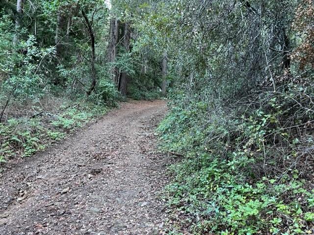 Detail Gallery Image 8 of 9 For 0 Redwood Retreat Rd, Gilroy,  CA 95020 - – Beds | – Baths