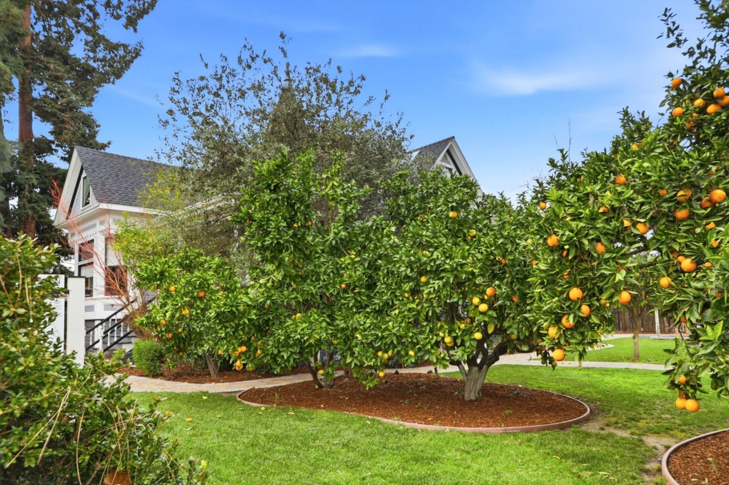 Detail Gallery Image 144 of 170 For 1085 Camino Ramon, San Jose,  CA 95125 - 6 Beds | 4/1 Baths