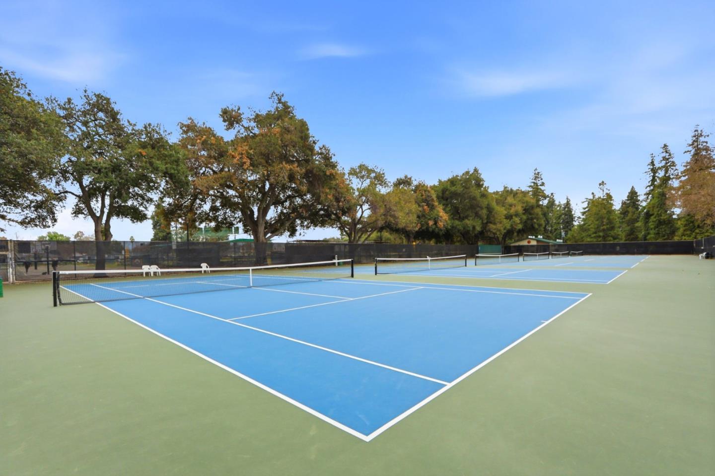 Detail Gallery Image 162 of 170 For 1085 Camino Ramon, San Jose,  CA 95125 - 6 Beds | 4/1 Baths