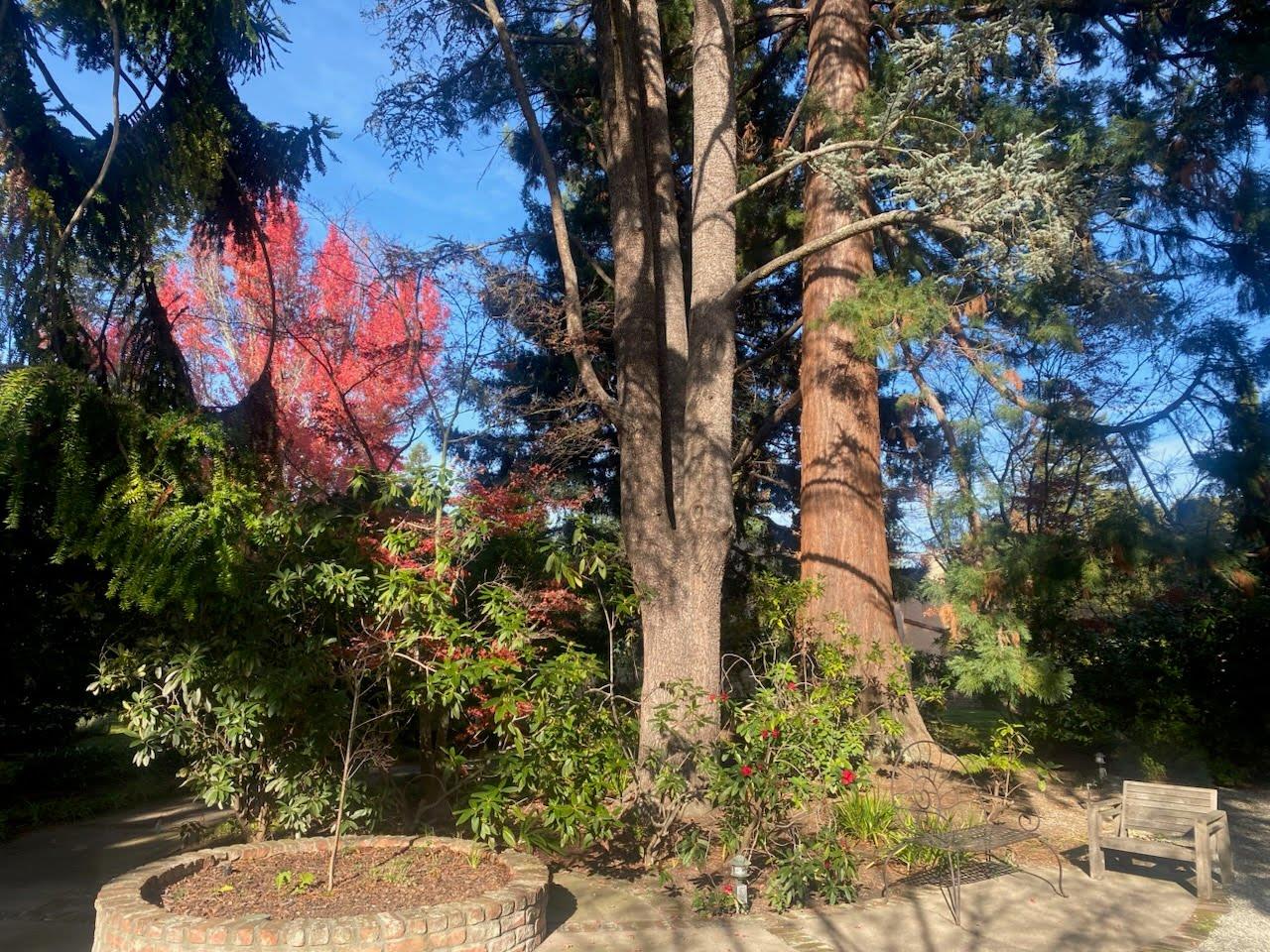 Detail Gallery Image 23 of 42 For 269 Selby Ln, Atherton,  CA 94027 - 6 Beds | 4/1 Baths