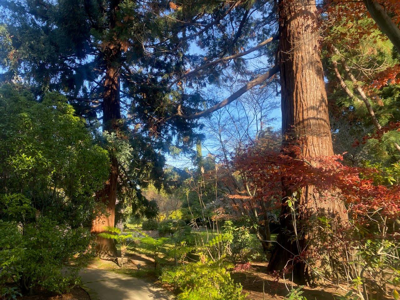 Detail Gallery Image 24 of 42 For 269 Selby Ln, Atherton,  CA 94027 - 6 Beds | 4/1 Baths