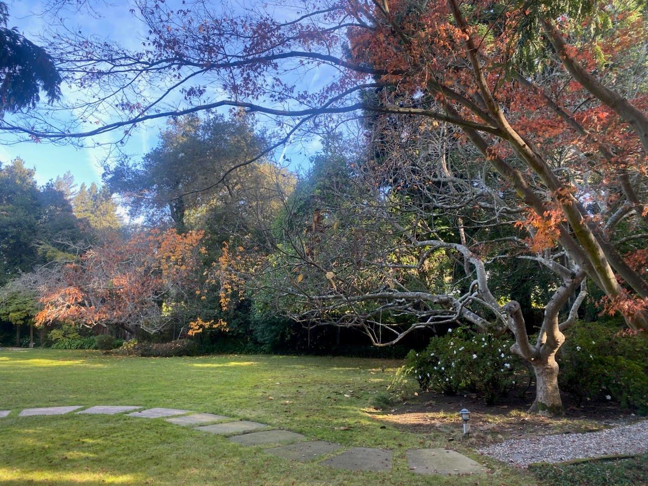 Detail Gallery Image 26 of 42 For 269 Selby Ln, Atherton,  CA 94027 - 6 Beds | 4/1 Baths