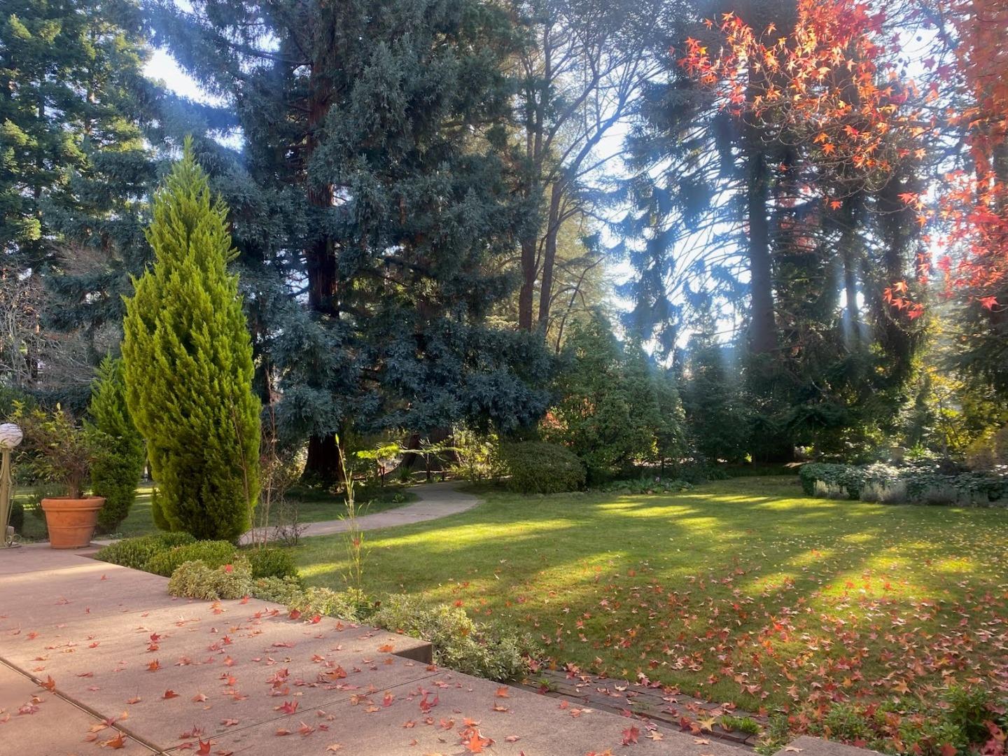 Detail Gallery Image 33 of 42 For 269 Selby Ln, Atherton,  CA 94027 - 6 Beds | 4/1 Baths