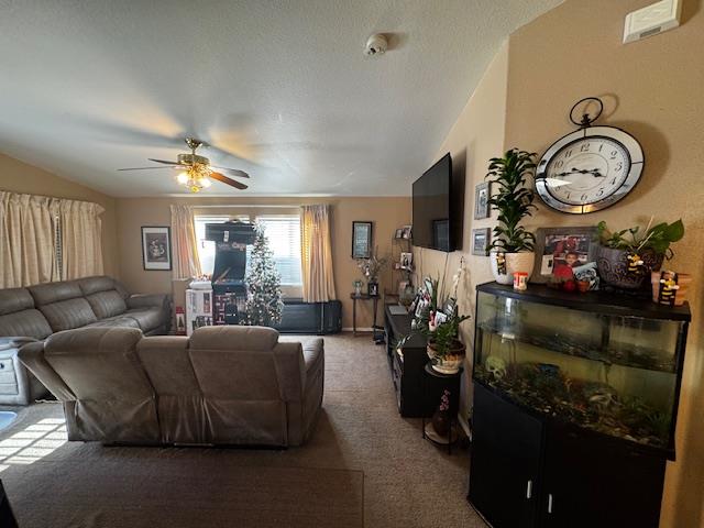 Detail Gallery Image 8 of 15 For 2900 Fairview Rd #4,  Hollister,  CA 95023 - 3 Beds | 2 Baths