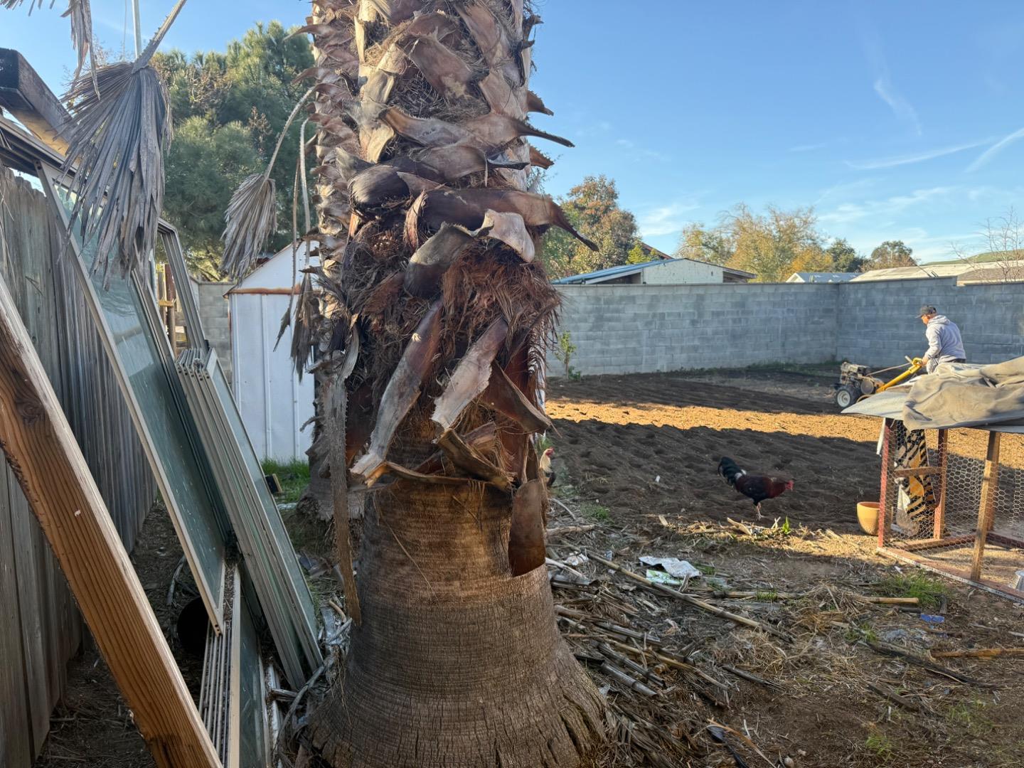 Detail Gallery Image 58 of 66 For 165 S 4th St, Shandon,  CA 93461 - 4 Beds | 2 Baths