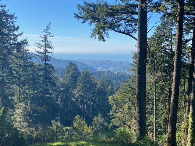 Detail Gallery Image 2 of 10 For 47 Forest View Rd, Woodside,  CA 94062 - 4 Beds | 3/1 Baths