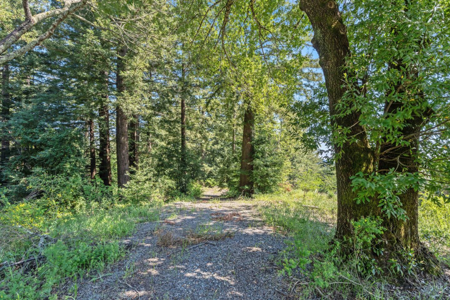 Detail Gallery Image 10 of 23 For 22981 Highway 17, Los Gatos,  CA 95033 - – Beds | – Baths