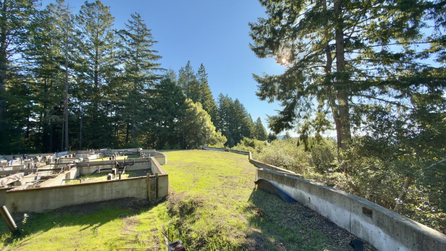 Detail Gallery Image 14 of 23 For 1374 Weston Ridge Rd, Scotts Valley,  CA 95066 - – Beds | – Baths