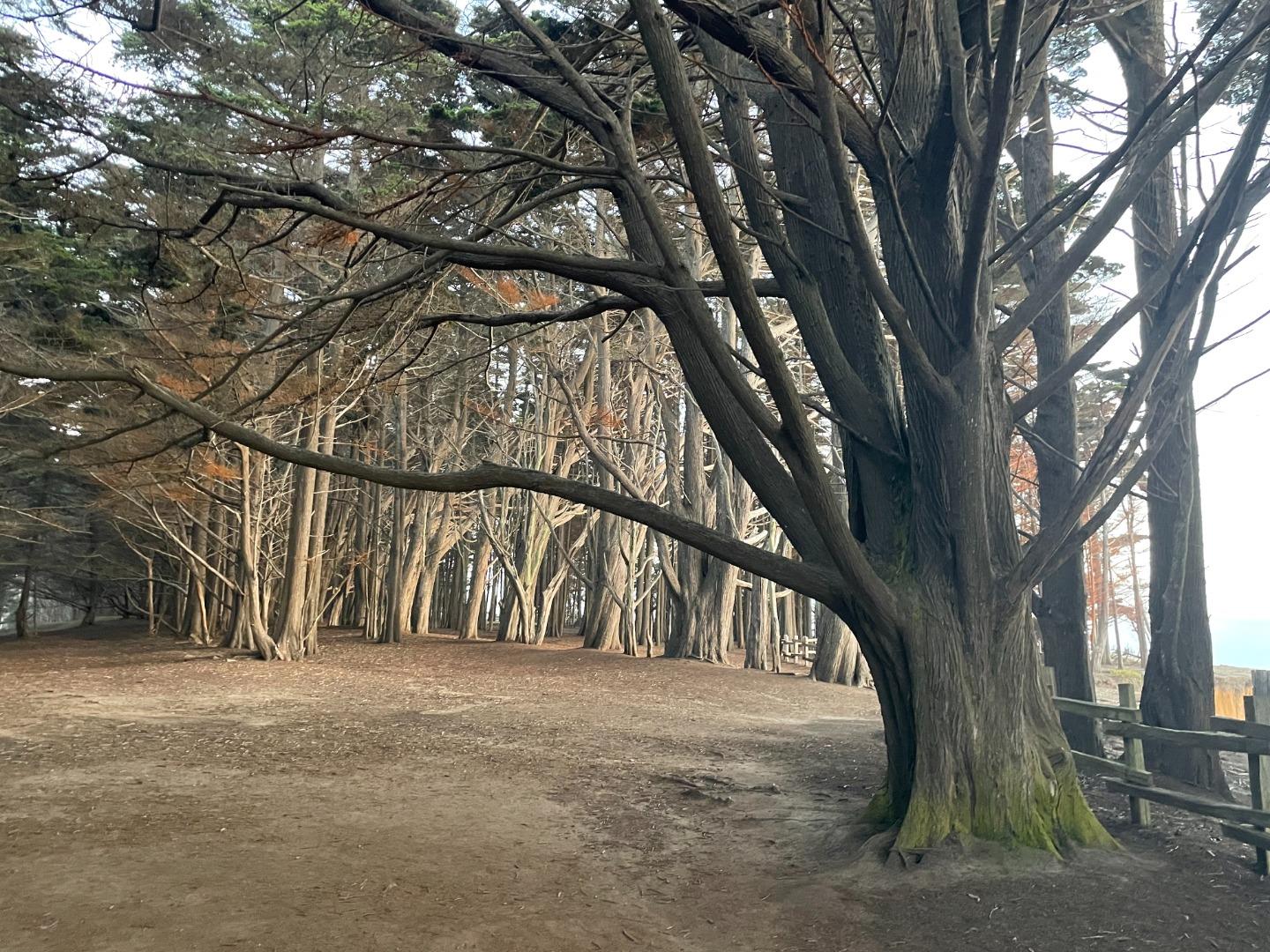 Detail Gallery Image 22 of 23 For 855 Sierra St, Moss Beach,  CA 94038 - 4 Beds | 2 Baths