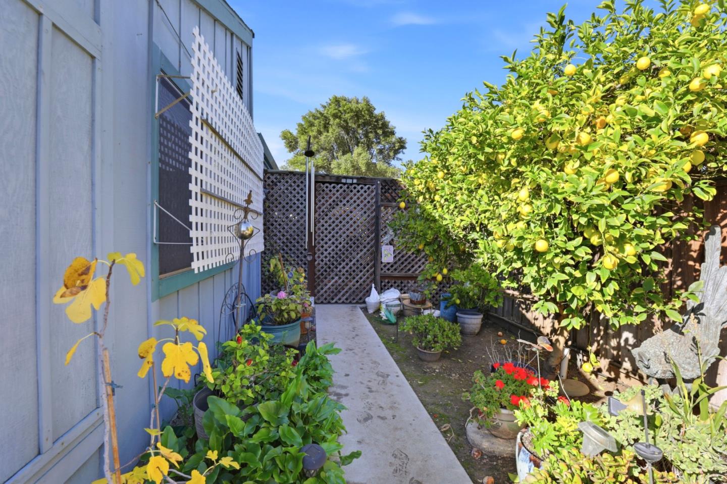 Detail Gallery Image 26 of 44 For 304 Ridgemark Dr, Hollister,  CA 95023 - 3 Beds | 2 Baths