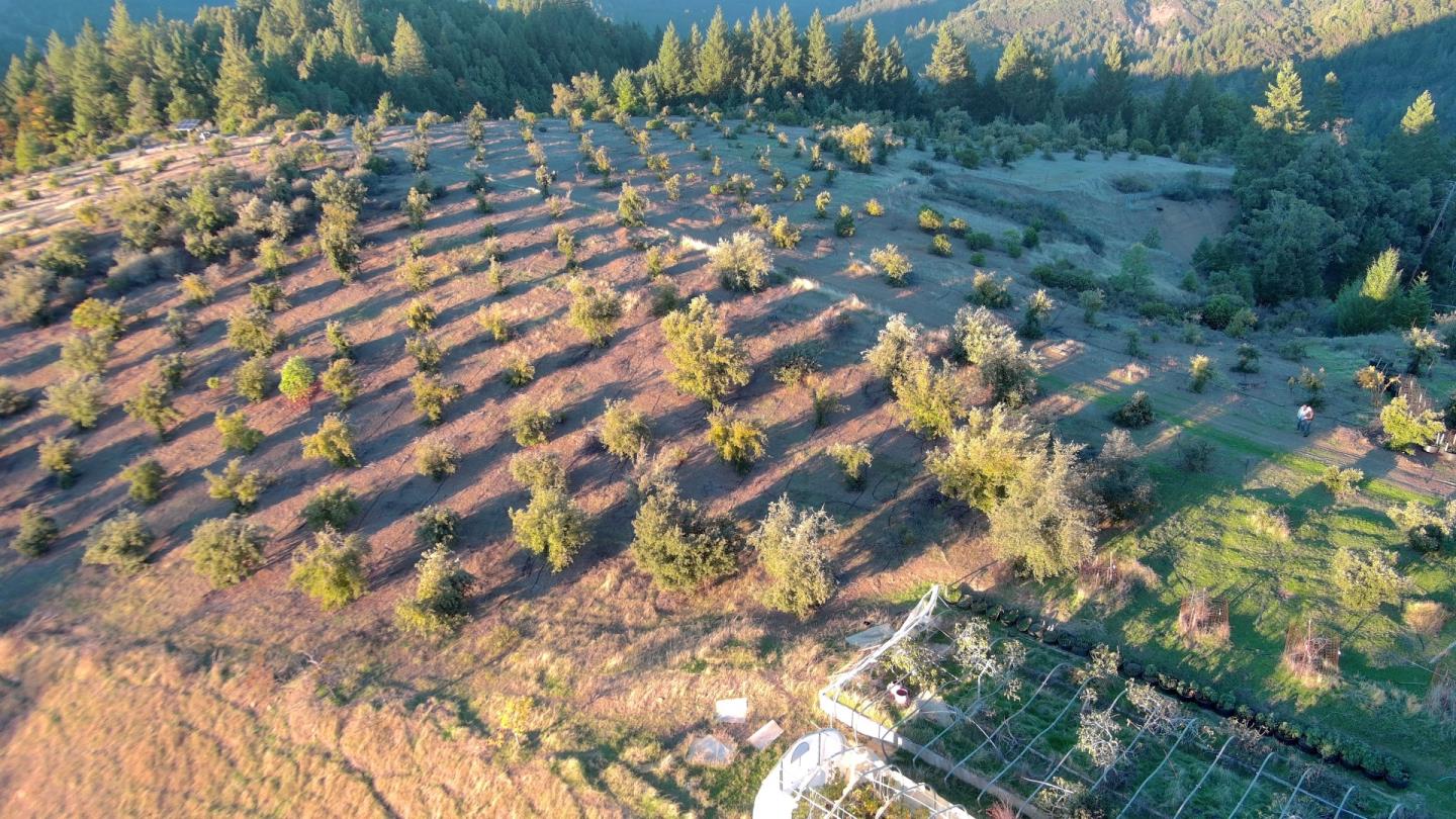 Detail Gallery Image 10 of 13 For 47211 Fox Rock Road, Laytonville,  CA 95454 - 2 Beds | 1 Baths