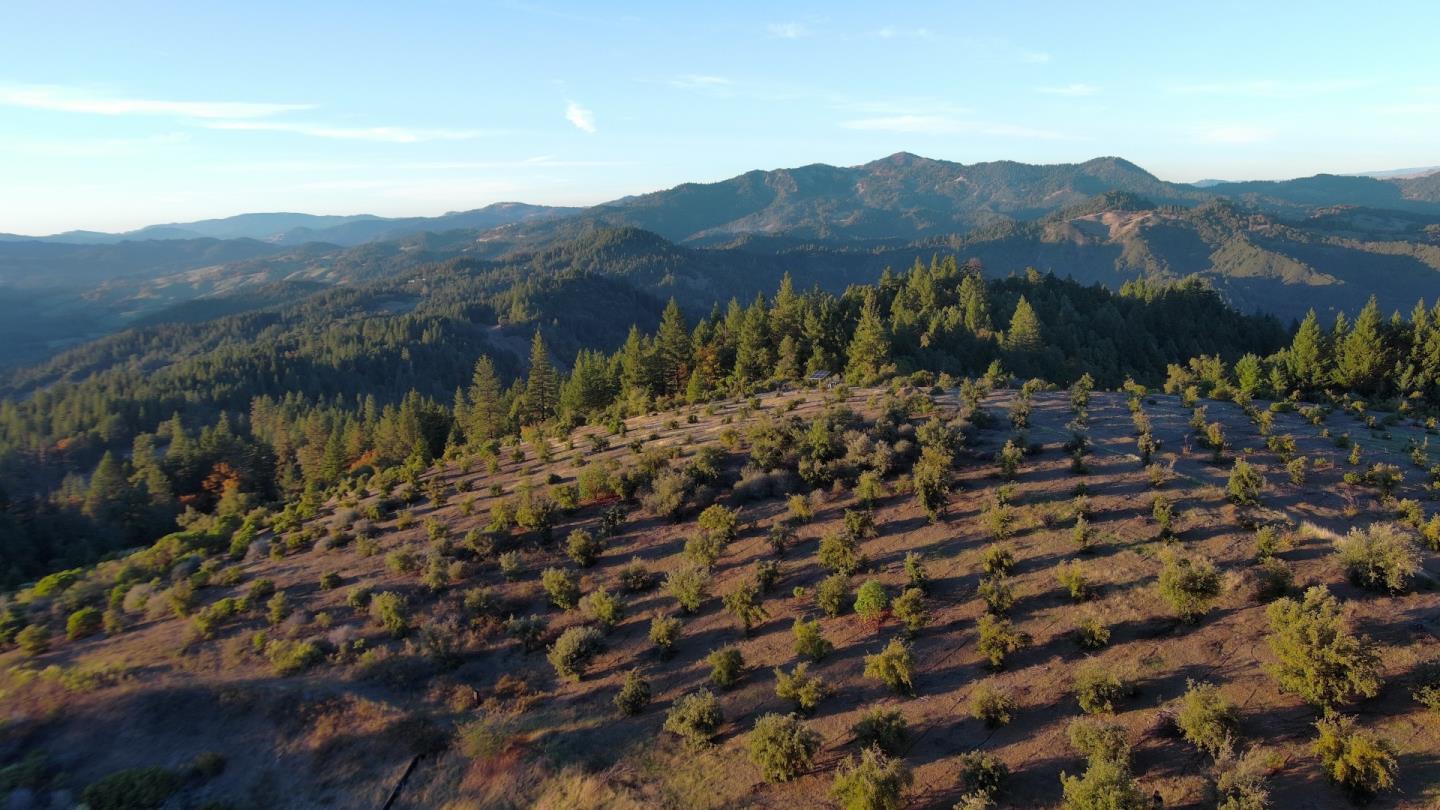 Detail Gallery Image 11 of 13 For 47211 Fox Rock Road, Laytonville,  CA 95454 - 2 Beds | 1 Baths