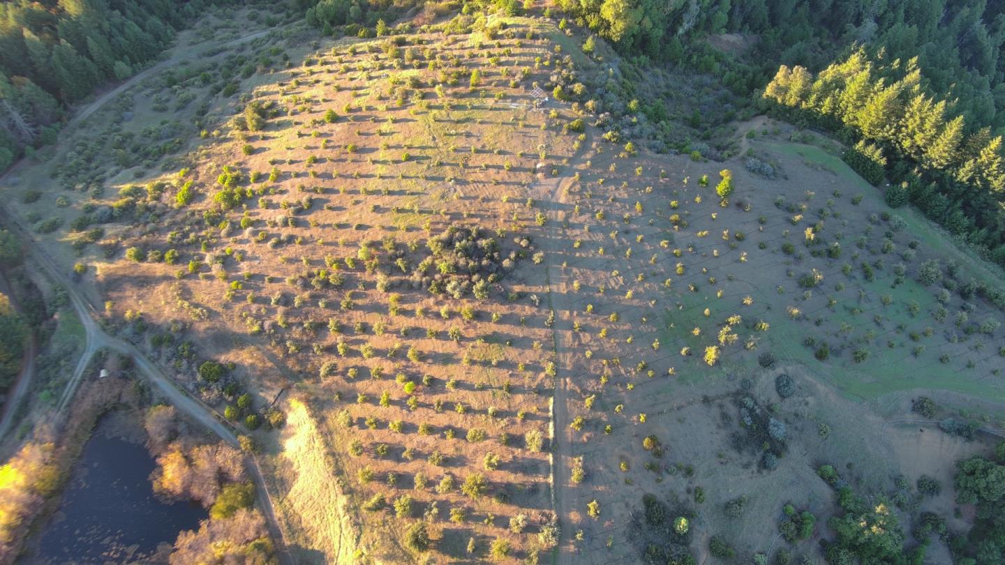 Detail Gallery Image 12 of 13 For 47211 Fox Rock Road, Laytonville,  CA 95454 - 2 Beds | 1 Baths