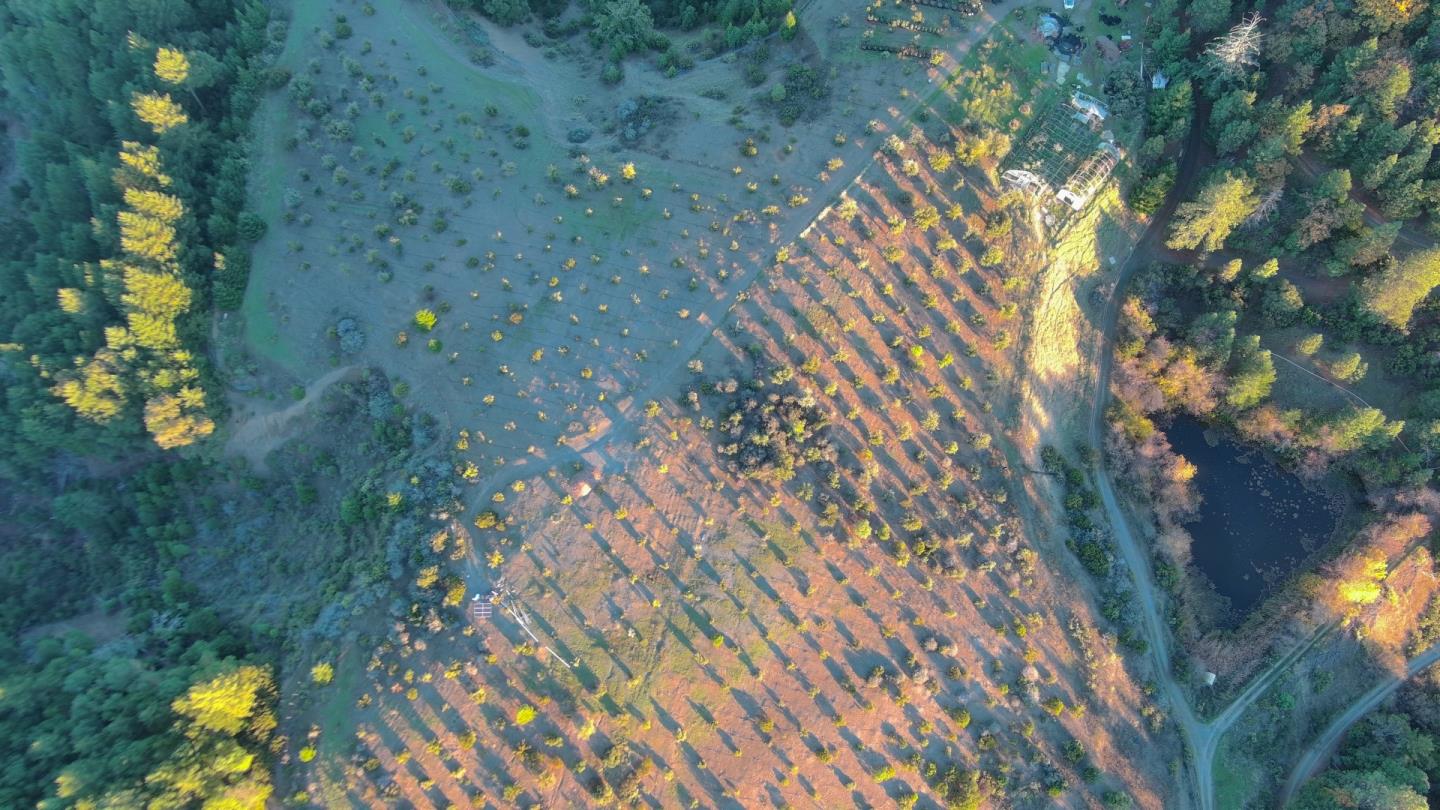 Detail Gallery Image 13 of 13 For 47211 Fox Rock Road, Laytonville,  CA 95454 - 2 Beds | 1 Baths