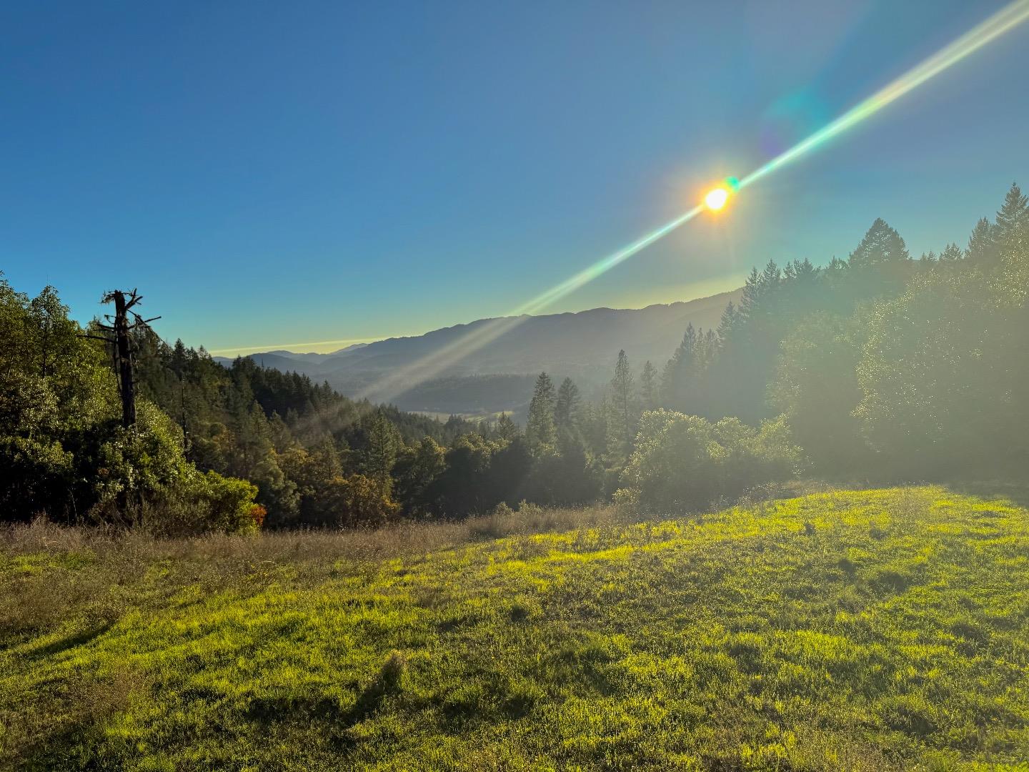 Detail Gallery Image 2 of 13 For 47211 Fox Rock Road, Laytonville,  CA 95454 - 2 Beds | 1 Baths