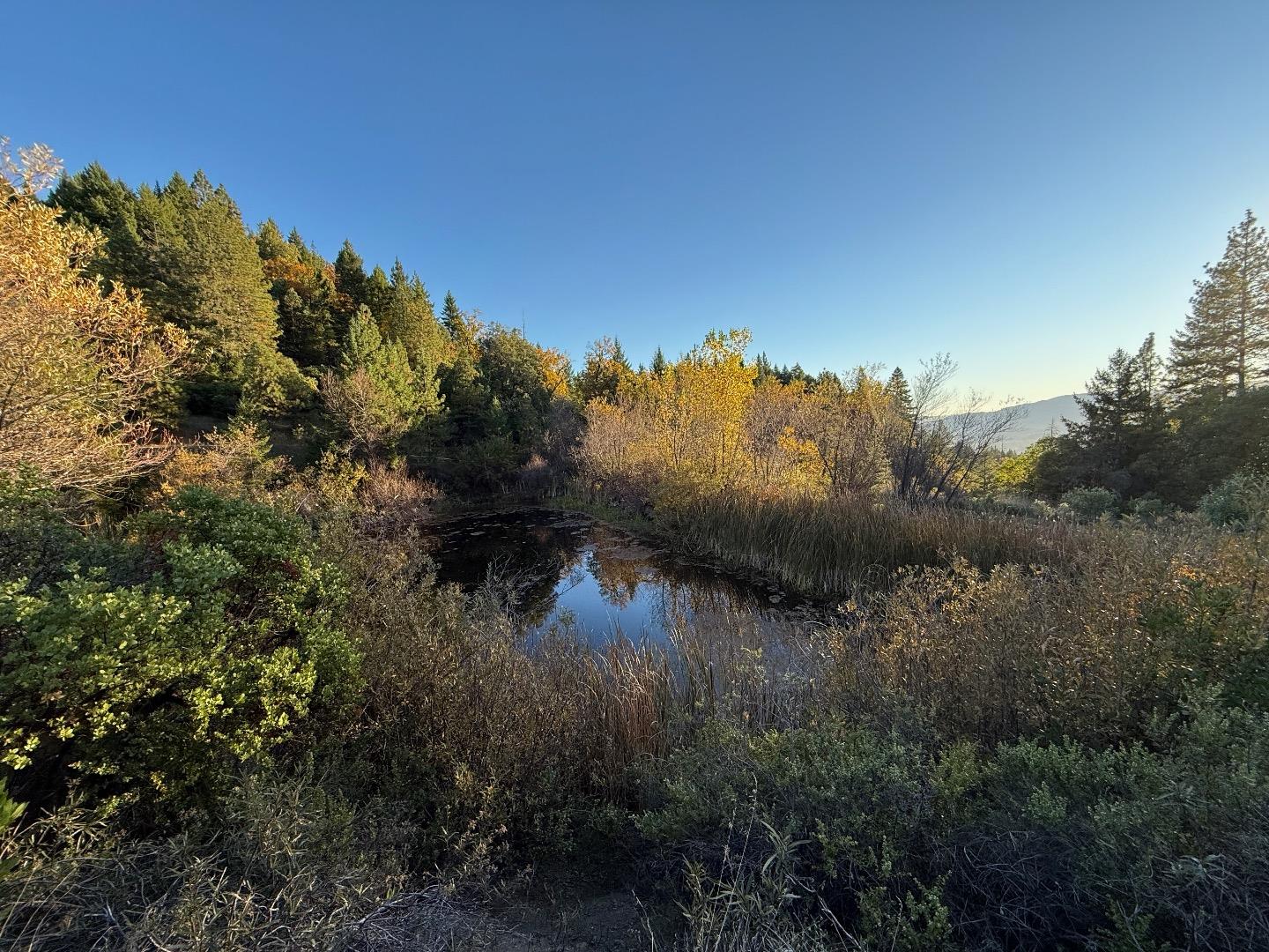 Detail Gallery Image 5 of 13 For 47211 Fox Rock Road, Laytonville,  CA 95454 - 2 Beds | 1 Baths