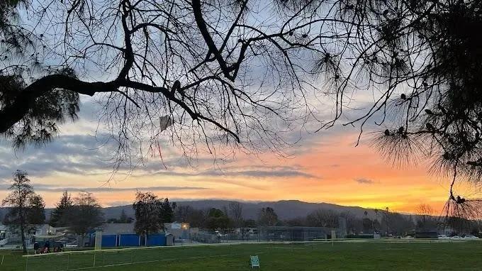 Detail Gallery Image 20 of 21 For 1564 Hollenbeck Ave #3,  Sunnyvale,  CA 94087 - 2 Beds | 1 Baths