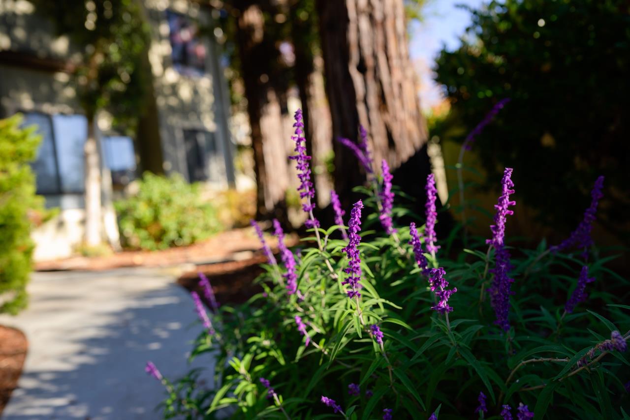 Detail Gallery Image 59 of 73 For 111 Bean Creek Rd #156,  Scotts Valley,  CA 95066 - 2 Beds | 2 Baths