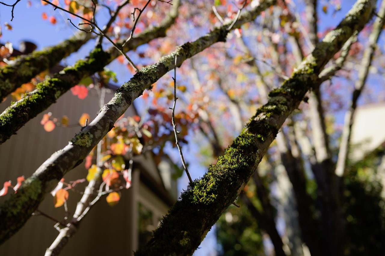 Detail Gallery Image 60 of 73 For 111 Bean Creek Rd #156,  Scotts Valley,  CA 95066 - 2 Beds | 2 Baths