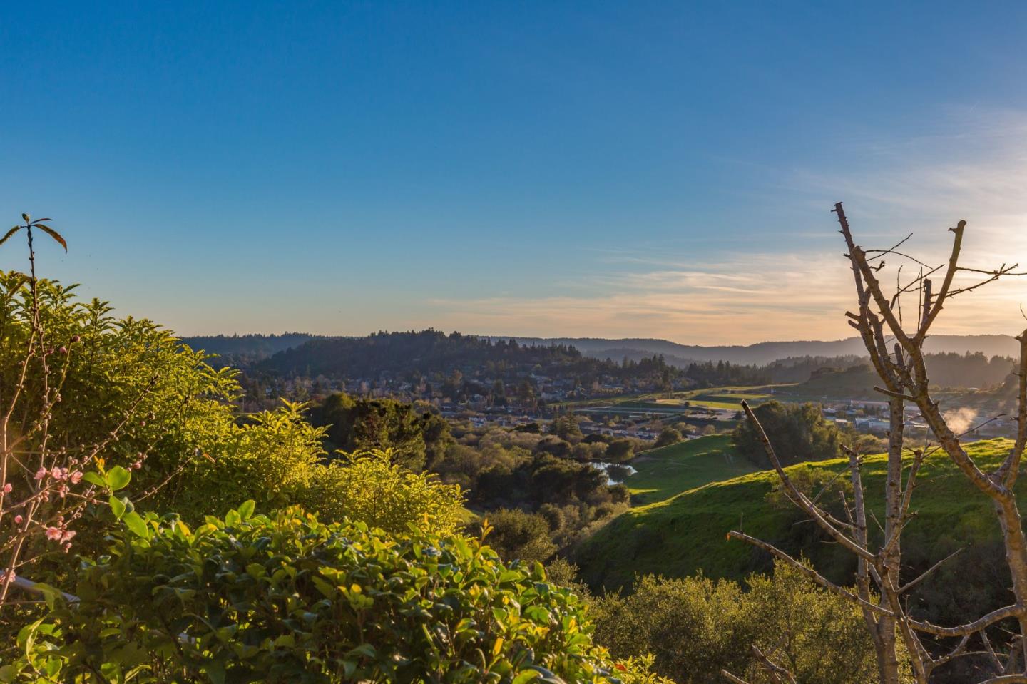 Detail Gallery Image 90 of 95 For 560 Hacienda Dr, Scotts Valley,  CA 95066 - 4 Beds | 3 Baths