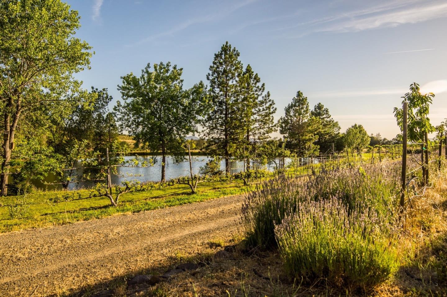 Detail Gallery Image 10 of 10 For 31630 Forward Rd., Manton,  CA 96059 - 4 Beds | 3 Baths