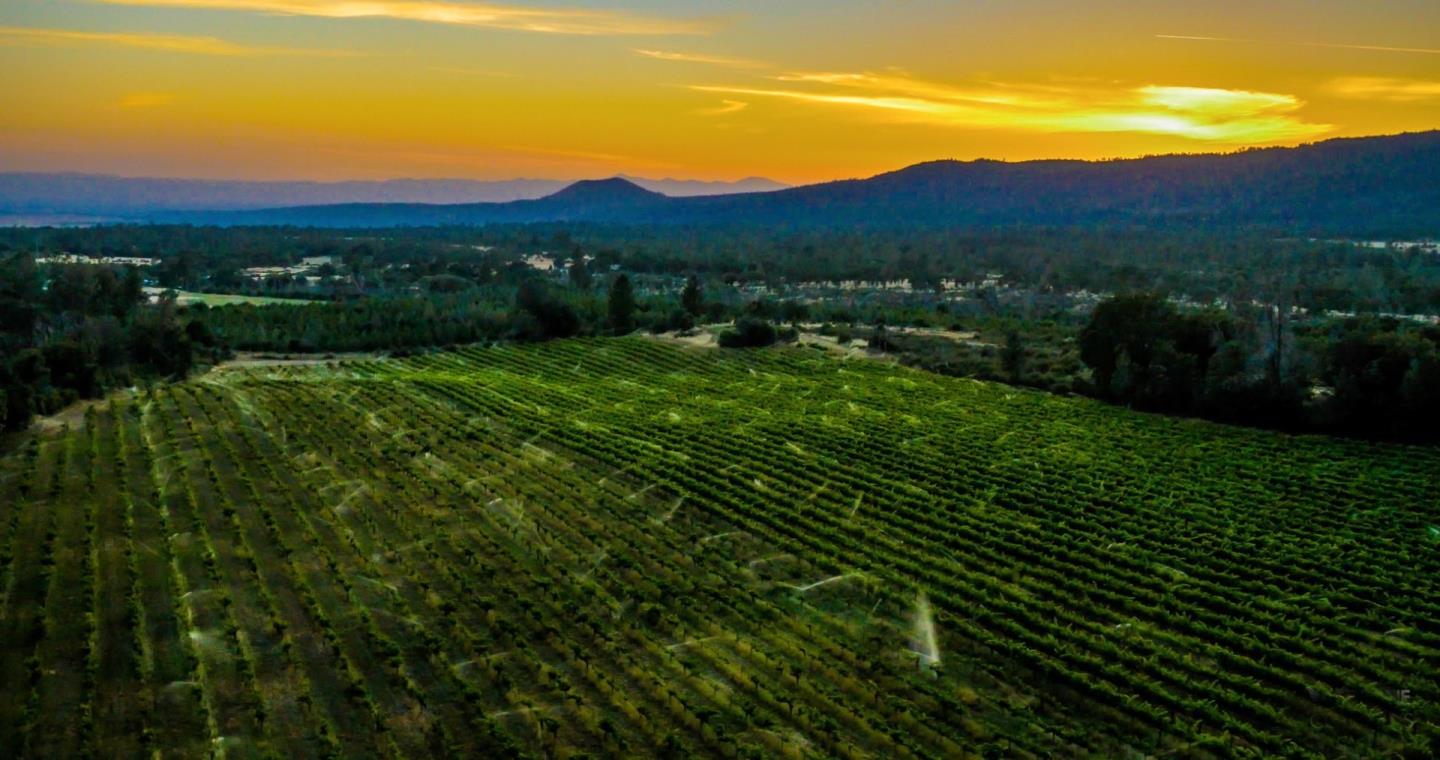 Detail Gallery Image 6 of 10 For 31630 Forward Rd., Manton,  CA 96059 - 4 Beds | 3 Baths