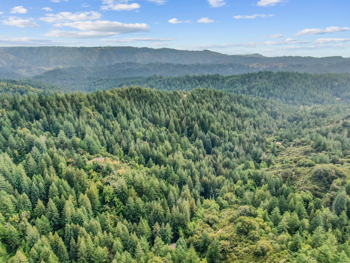 Detail Gallery Image 41 of 41 For Address Not Disclosed, Boulder Creek,  CA 95006 - 4 Beds | 3 Baths