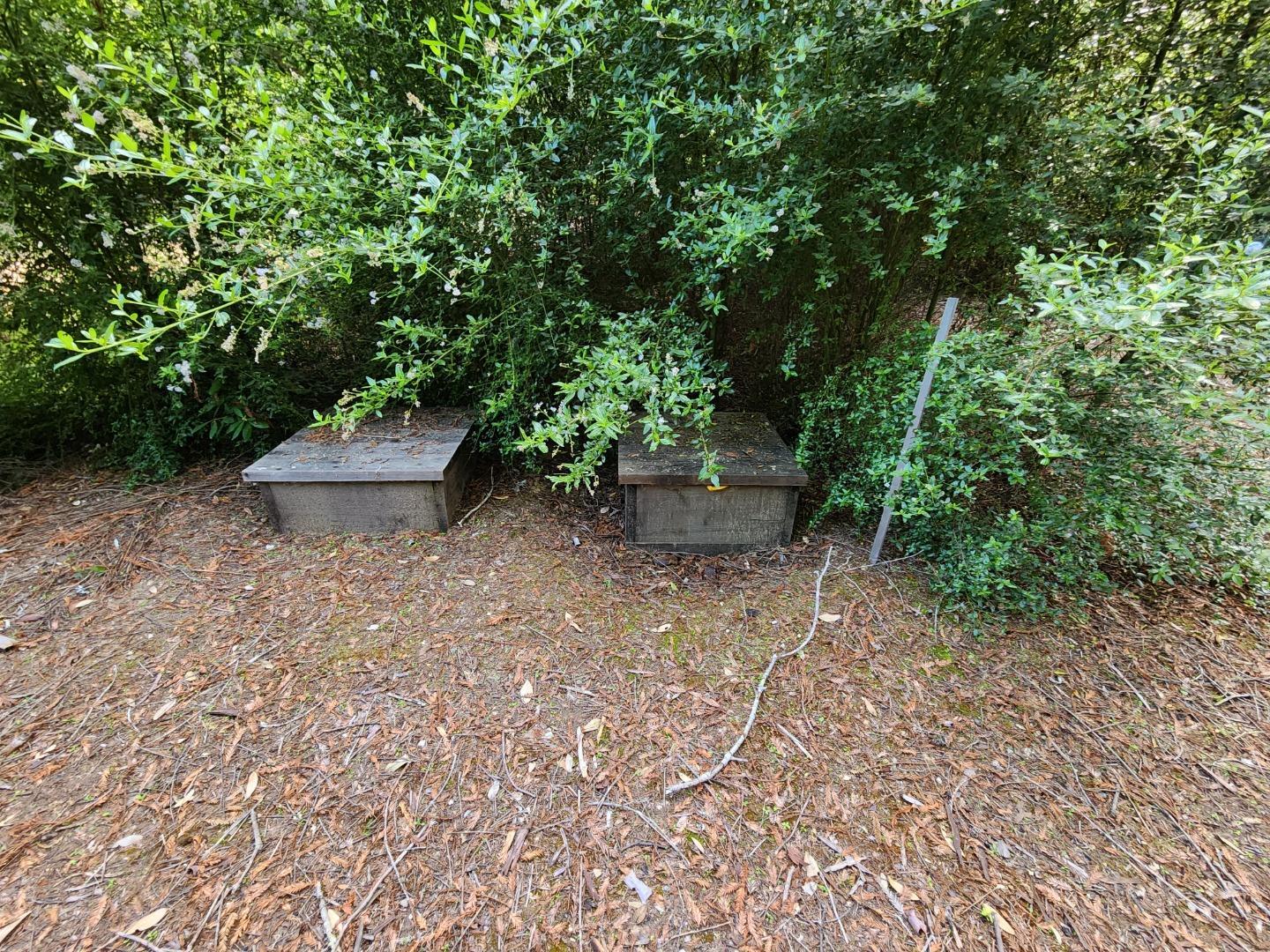 20604 Little Basin Road, Boulder Creek, CA, 95006