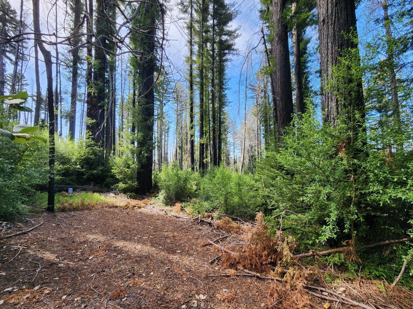 20604 Little Basin Road, Boulder Creek, CA, 95006