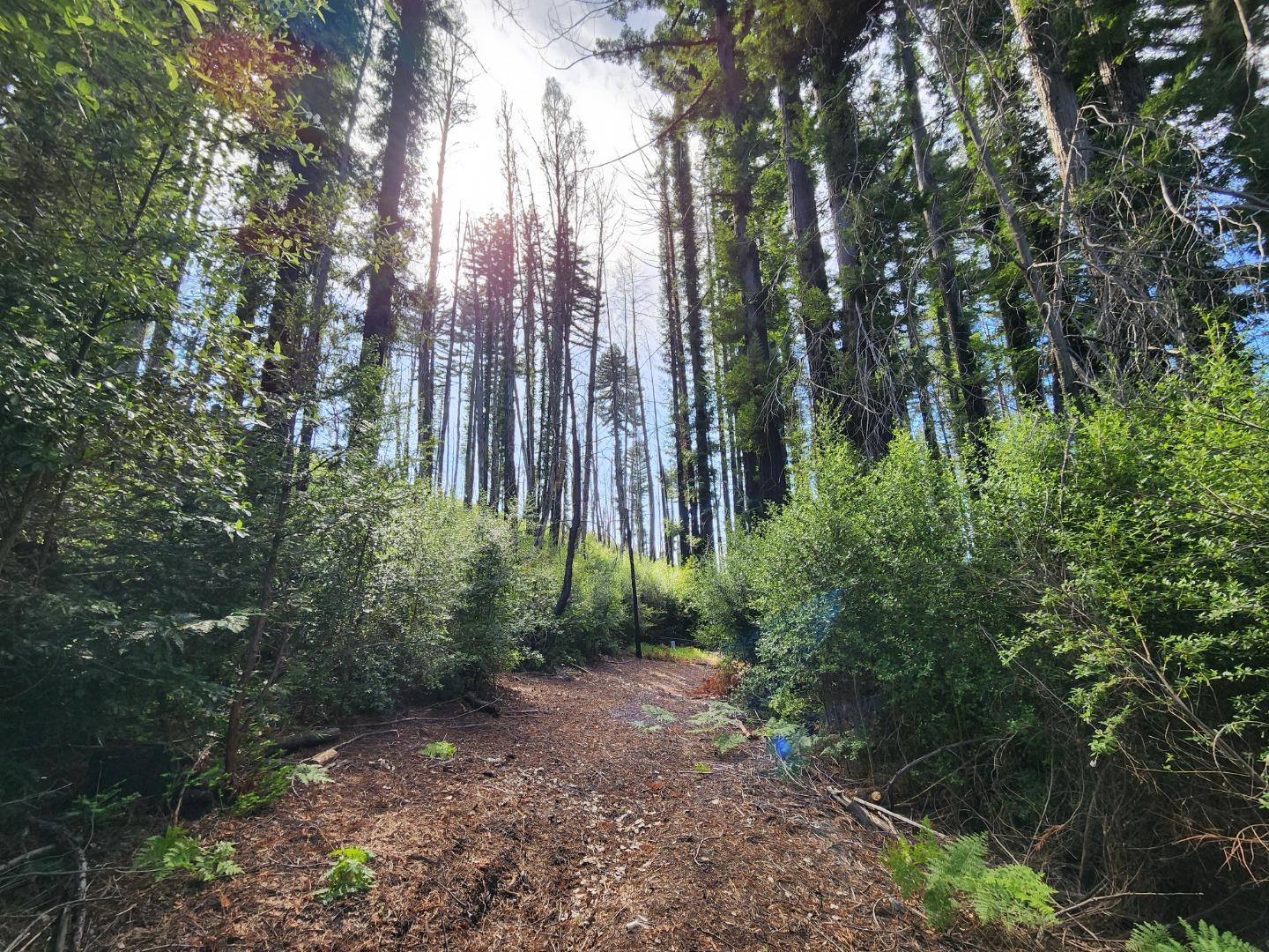 20604 Little Basin Road, Boulder Creek, CA, 95006