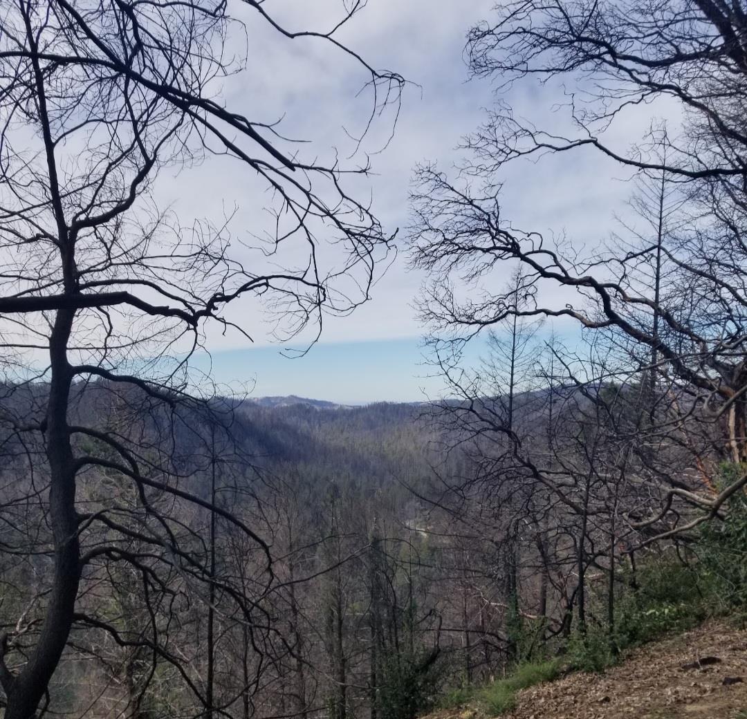 Detail Gallery Image 2 of 19 For 20604 Little Basin Rd, Boulder Creek,  CA 95006 - – Beds | – Baths