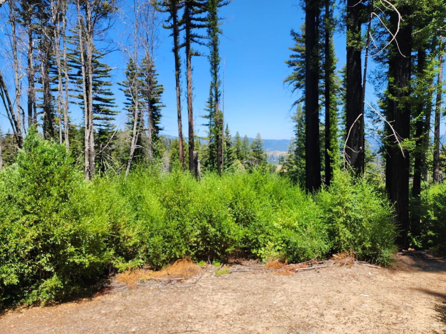 Detail Gallery Image 3 of 19 For 20604 Little Basin Rd, Boulder Creek,  CA 95006 - – Beds | – Baths