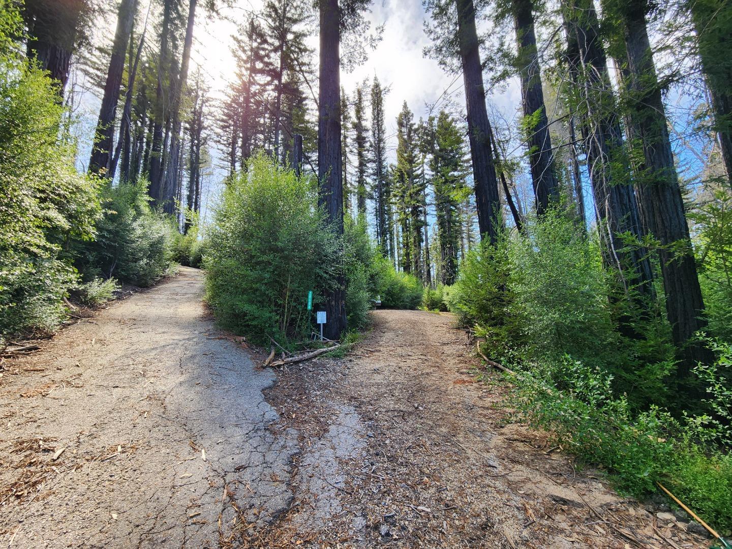 Detail Gallery Image 5 of 19 For 20604 Little Basin Rd, Boulder Creek,  CA 95006 - – Beds | – Baths