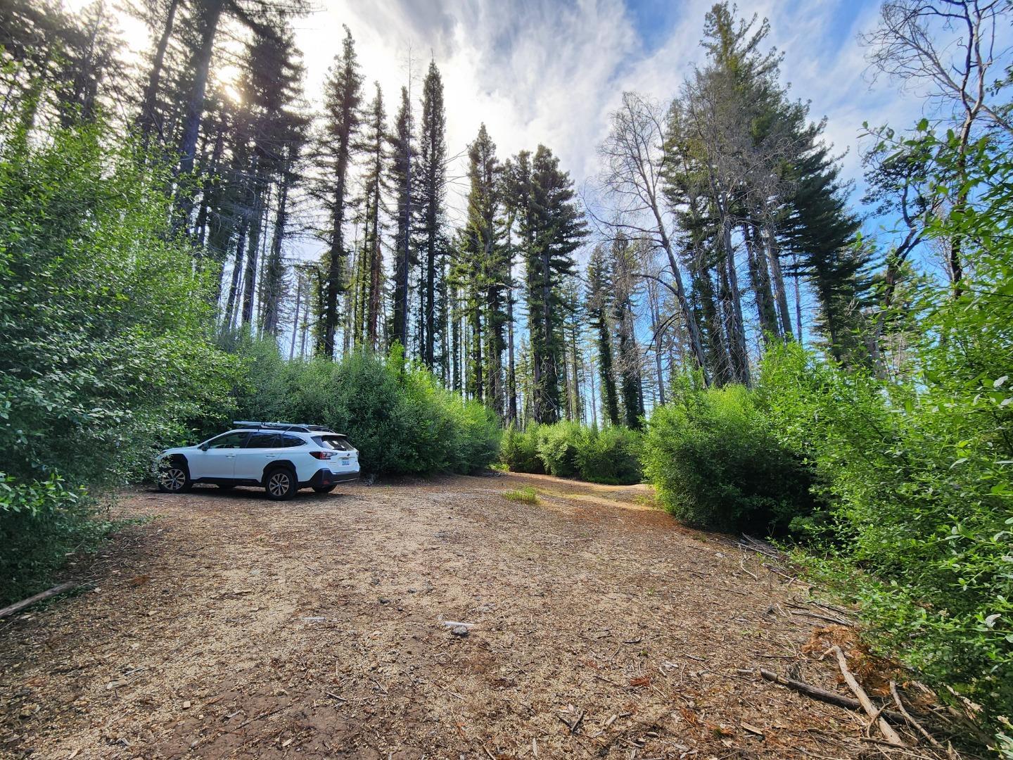 20604 Little Basin Road, Boulder Creek, CA, 95006