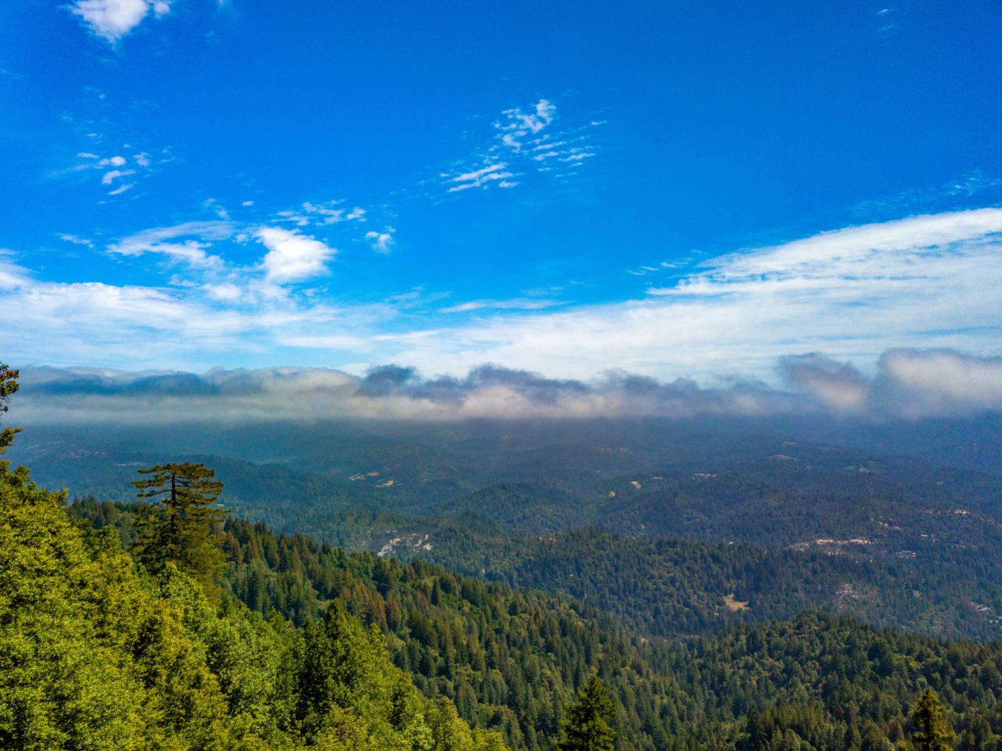 Detail Gallery Image 43 of 47 For 471 Country Estates Ter, Santa Cruz,  CA 95060 - 2 Beds | 2 Baths