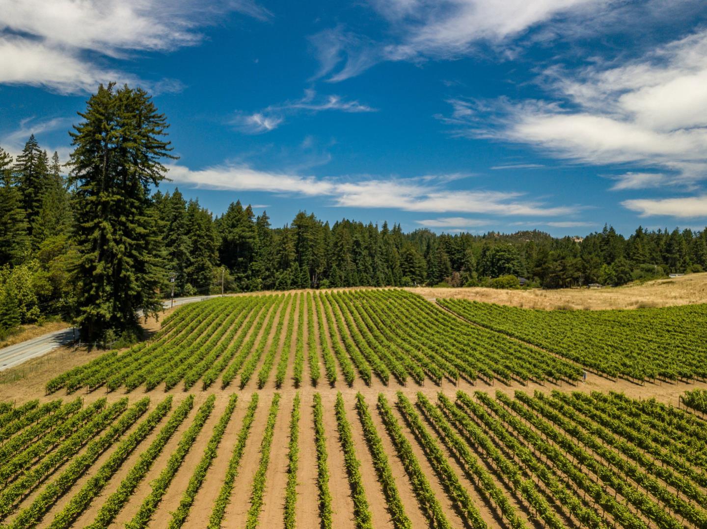 Detail Gallery Image 46 of 47 For 471 Country Estates Ter, Santa Cruz,  CA 95060 - 2 Beds | 2 Baths