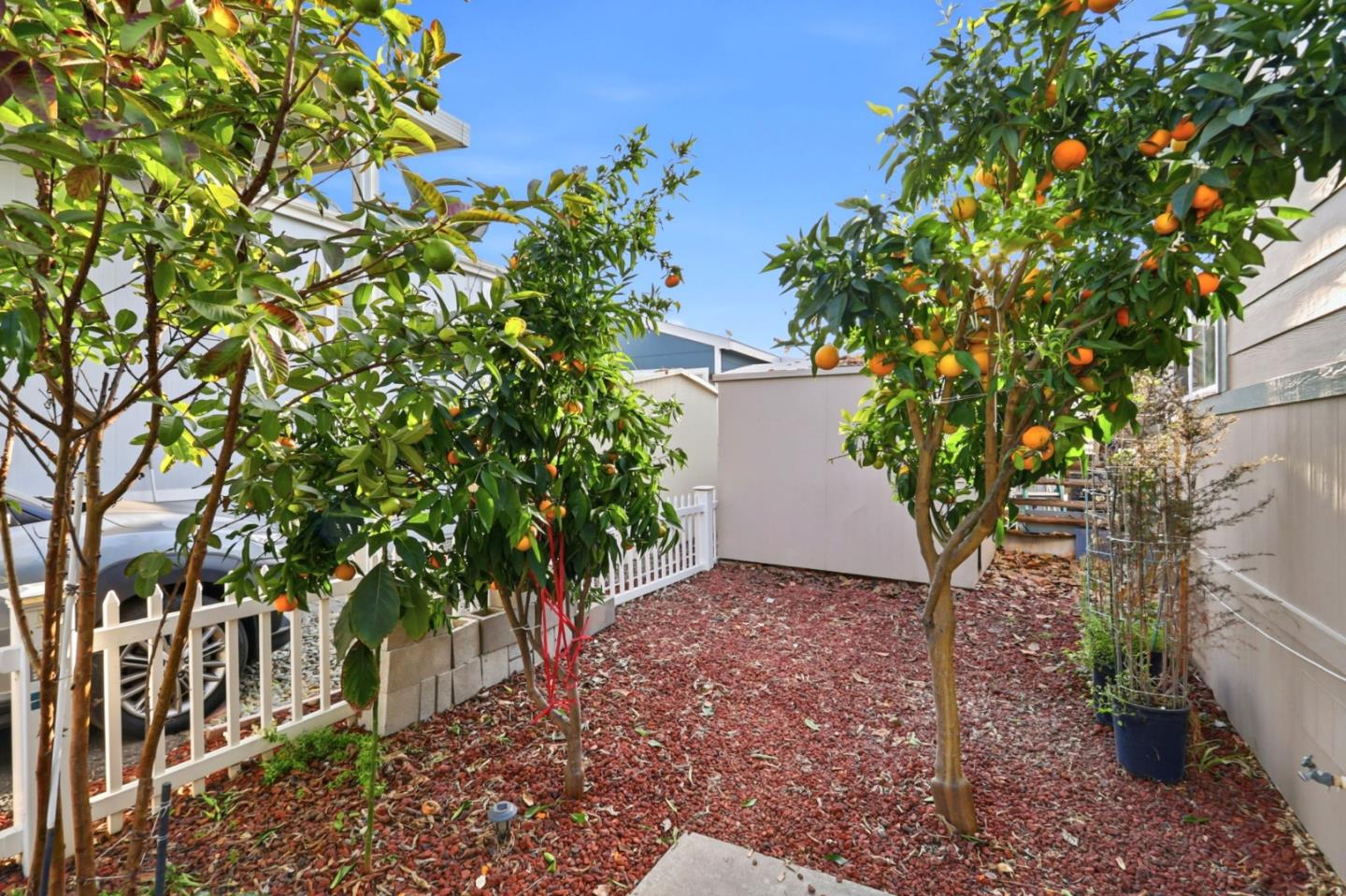 Detail Gallery Image 41 of 46 For 1520 E Capitol Expwy #103,  San Jose,  CA 95121 - 3 Beds | 2 Baths