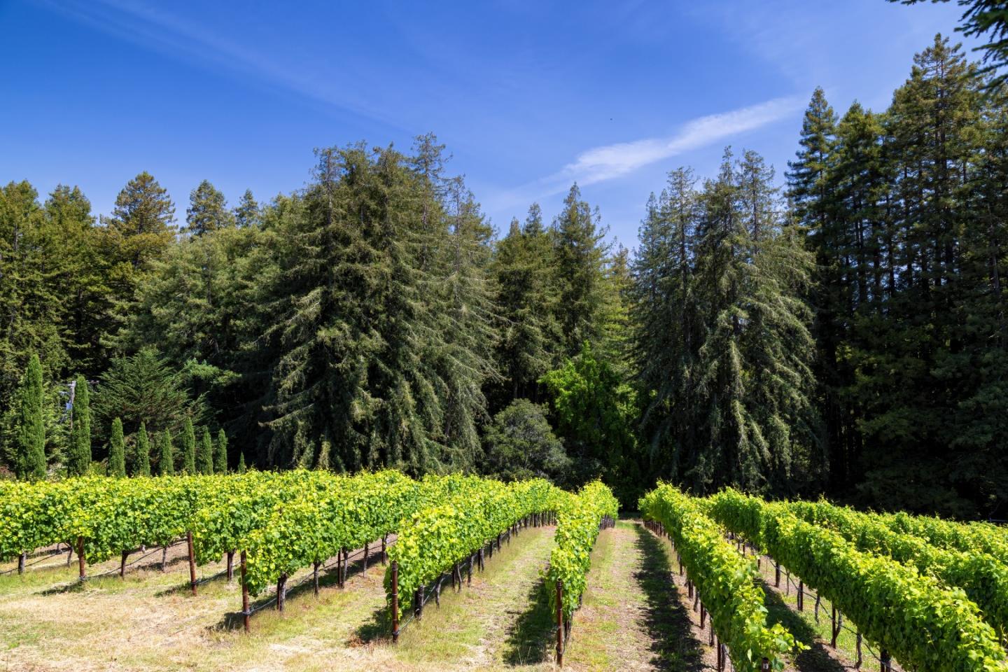 Detail Gallery Image 33 of 36 For 4300 Soquel Dr #204,  Soquel,  CA 95073 - 2 Beds | 2 Baths