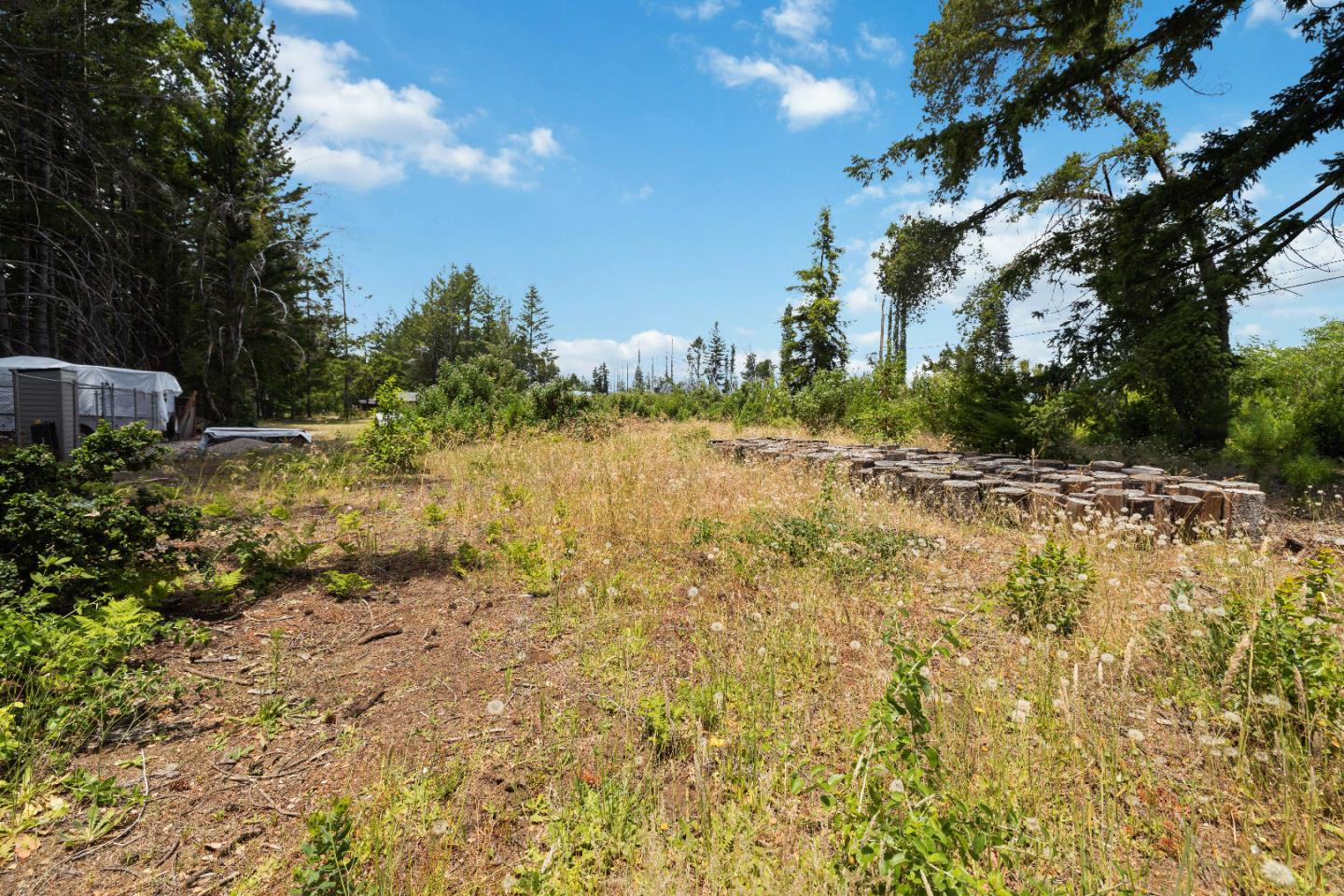 Detail Gallery Image 10 of 19 For 60 Braemoor Dr, Santa Cruz,  CA 95060 - – Beds | – Baths