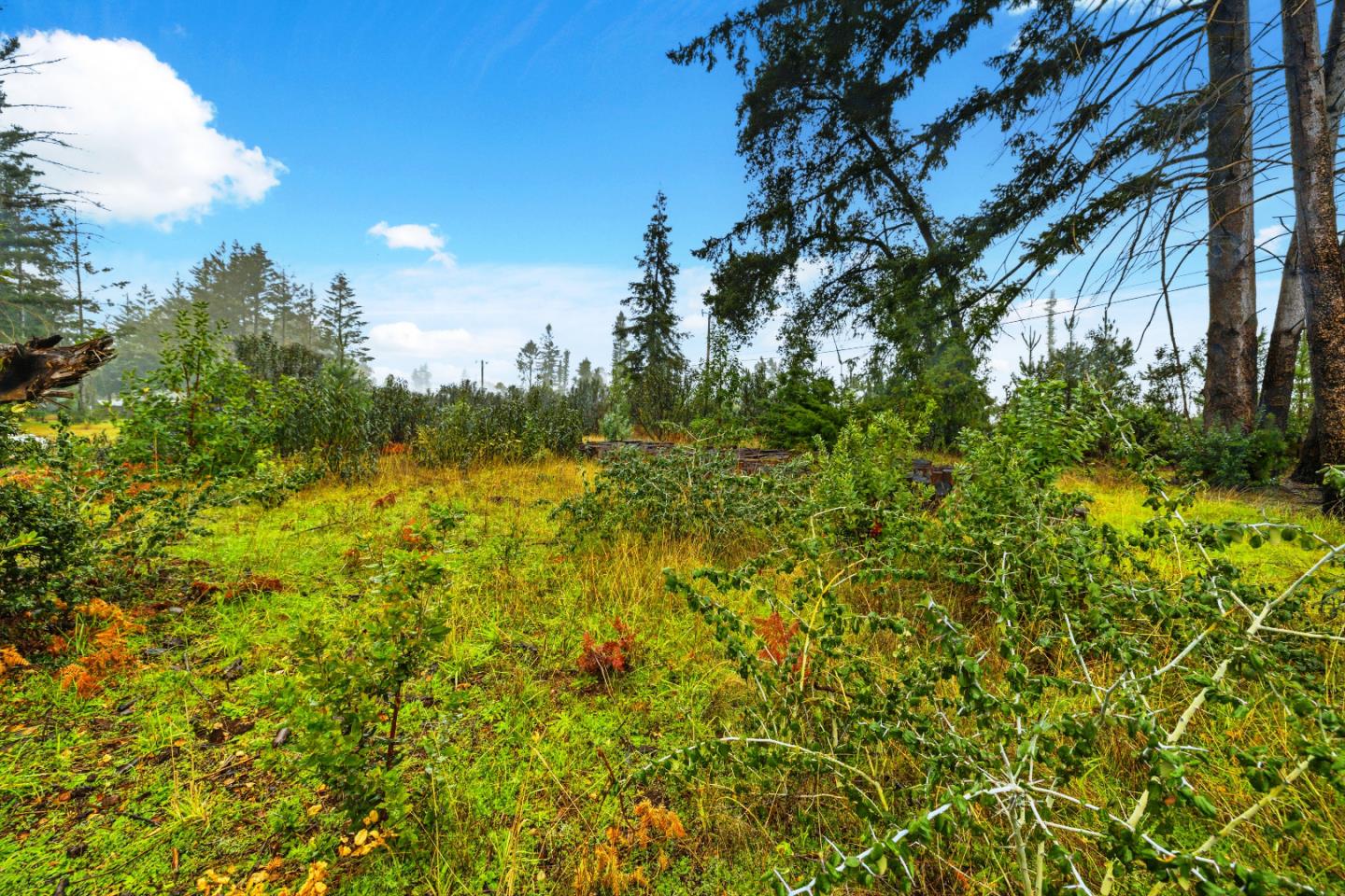 60 Braemoor Drive, Santa Cruz, CA, 95060