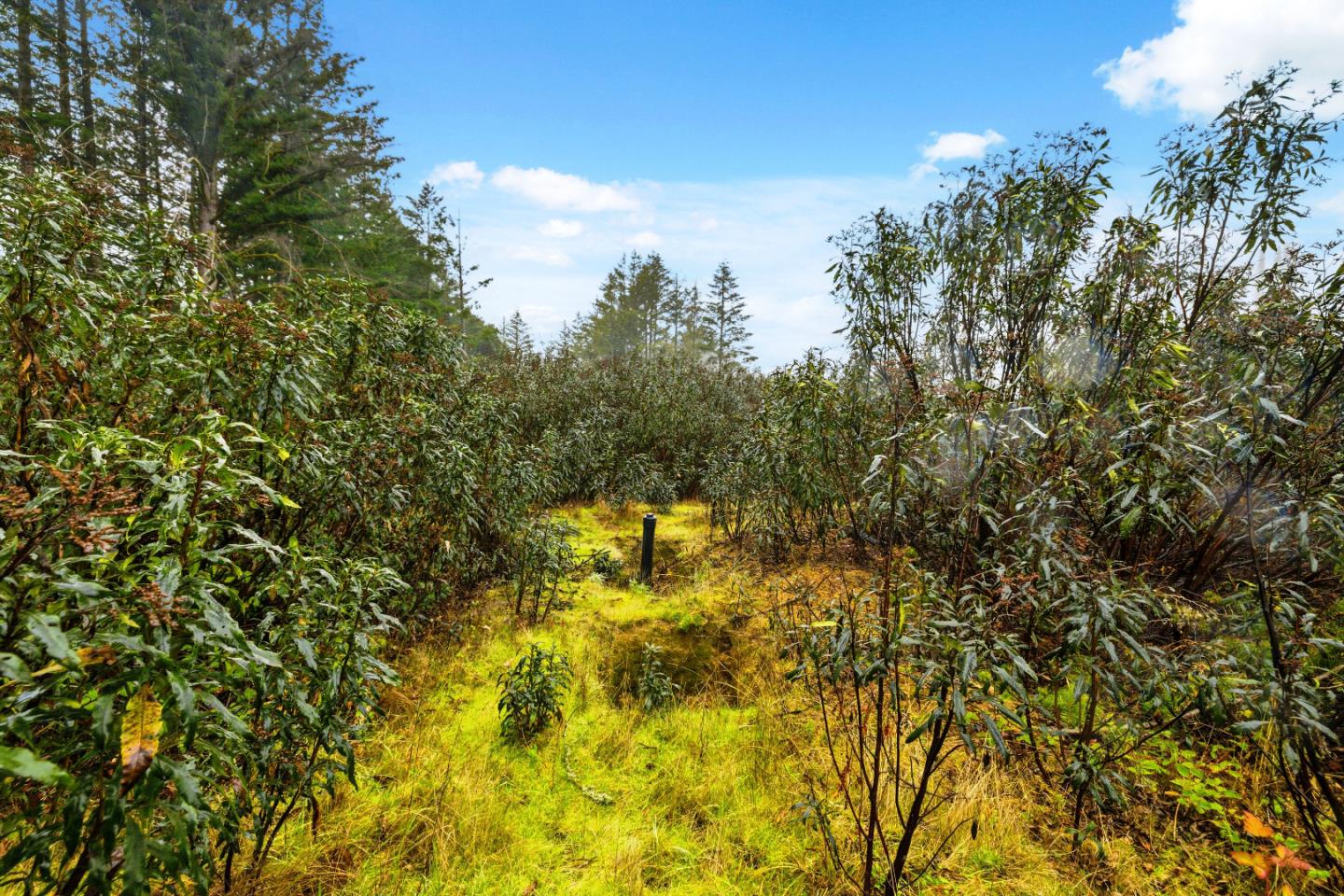 60 Braemoor Drive, Santa Cruz, CA, 95060